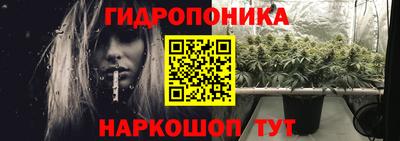 индика Лесосибирск