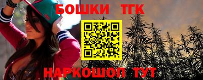 индика Лесосибирск