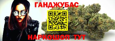 индика Лесосибирск